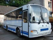 Автобусы  ПАЗ 4230-01 и ПАЗ 4230-02